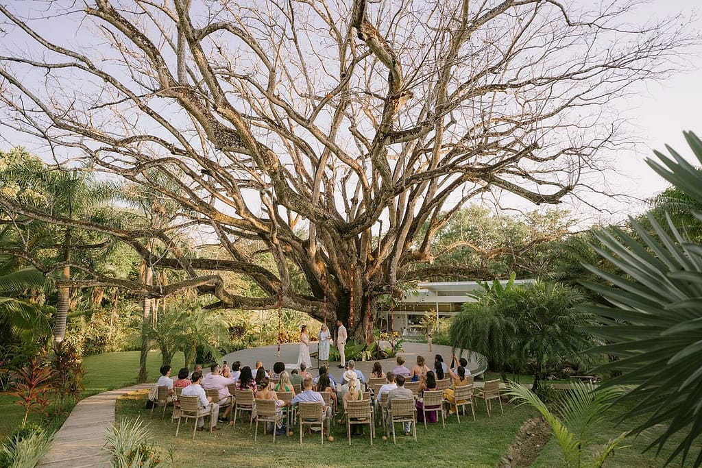 Wedding guests seated in a circle under a large old tree during a ceremony at Aves Hotel and Resort, Montezuma, Costa Rica