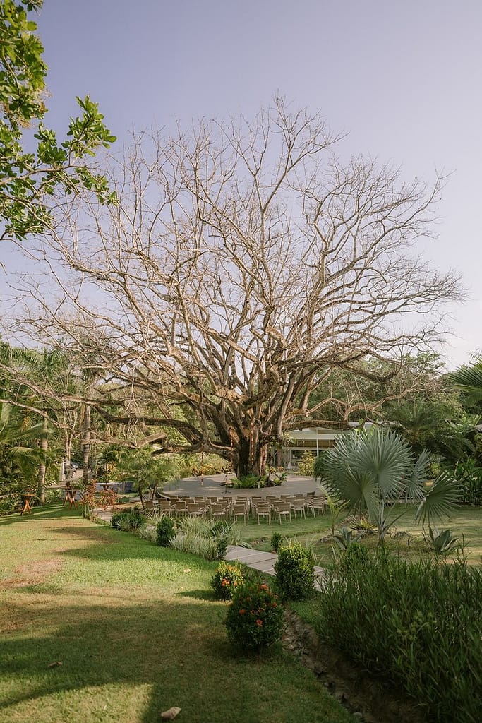 Wedding ceremony garden with a large old tree and a circle of chairs at Aves Hotel and Resort, Montezuma, Costa Rica