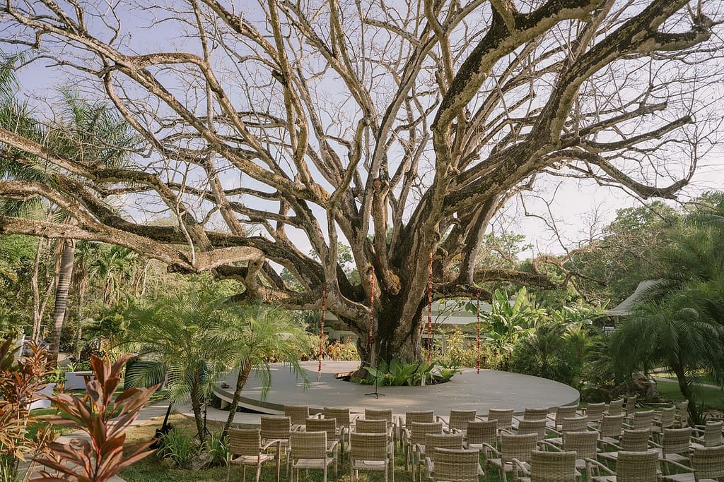Circular wedding ceremony seating under a large old tree at Aves Hotel and Resort, Montezuma, Costa Rica