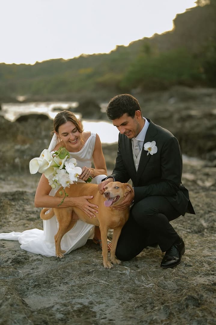 Bride and groom petting a dog on a rocky beach during their Costa Rica wedding portraits
