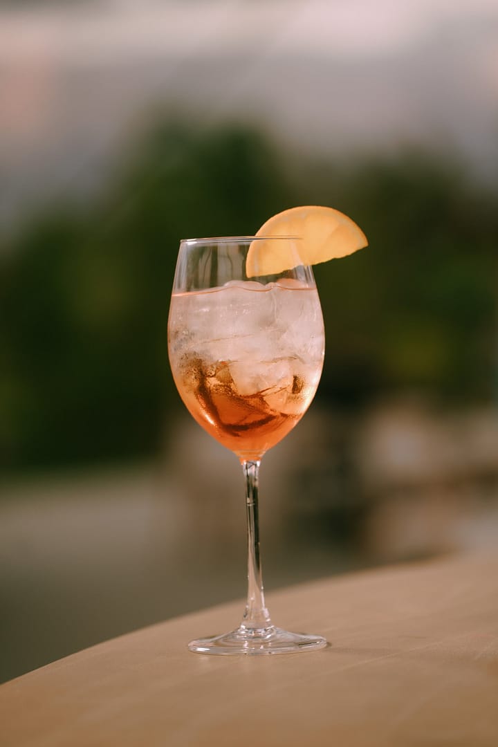 Wedding party celebration at Entre Palmas Costa Rica